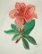 BFC0132 Oriental Flowers