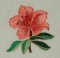 BFC0132 Oriental Flowers