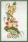 BFC0132 Oriental Flowers