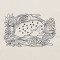 BFC1321 DES-Blackwork Deer