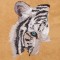 BFC1327 Large White Tiger Purse or Picture