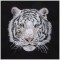 BFC1327 Large White Tiger Purse or Picture