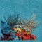 BFC1333 Sea Turtle Seascape