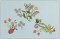 BFC1339 Jacobean Florals