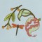 BFC1339 Jacobean Florals