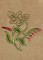 BFC1339 Jacobean Florals