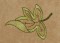 BFC1339 Jacobean Florals
