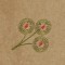 BFC1339 Jacobean Florals