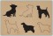BFC1342 Dogs-Outlines and Silhouettes