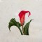 BFC1344 Vibrant Flowers