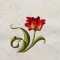 BFC1344 Vibrant Flowers