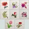 BFC1344 Vibrant Flowers