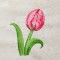BFC1345 Sparkling Flowers