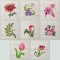 BFC1345 Sparkling Flowers
