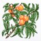 BFC1350 Botanical Fruit Woodcuts Quilt Blocks