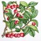 BFC1350 Botanical Fruit Woodcuts Quilt Blocks