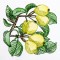 BFC1350 Botanical Fruit Woodcuts Quilt Blocks