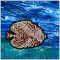BFC1352 Embellished Sea Life and Tote Bag