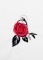 BFC1354 Red Roses - Black Scrolls