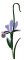 Iris Elegant