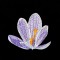 BFC1356 Crocus