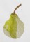 BFC1358 Sheer Fruit