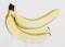 BFC1358 Sheer Fruit