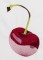 BFC1358 Sheer Fruit