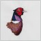 BFC1360 Large Pheasant