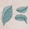 BFC1364 Fairy World - The Leaf Makers