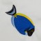 BFC1368 Four Tropical Fish