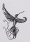 BFC1369 Sally King's Hummingbirds and Butterflies Complete