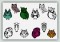 BFC1376 Owls to Glitter or Not