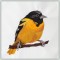 BFC1382 Three Baltimore Orioles