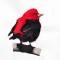 BFC1389 Colorful Birds of the US