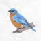 BFC1389 Colorful Birds of the US