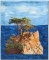 BFC1400 The Lone Cypress