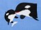 BFC1407 Orcas
