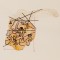 BFC1413 The Passage of Time - Vintage World Map