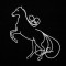 BFC1419 Horse Sketches Quilt Set