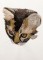 BFC1420 Large Kitten and Mouse