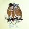 BFC1424 Hipster Animals in Love Filled