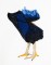 BFC1426 Large Rooster