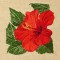 BFC1427 Hummingbird and Hibiscus Handbag