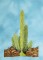 BFC1429 Southwestern Cactus Handbag