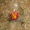 BFC1429 Southwestern Cactus Handbag