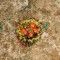 BFC1429 Southwestern Cactus Handbag