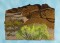 BFC1429 Southwestern Cactus Handbag