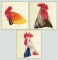 BFC1430 Three Rooster Portraits