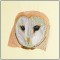 BFC1431 Three Owl Portraits